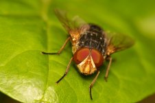 DSC_3606.jpg