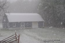 325 Snow-131123-01_01.jpg