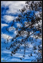 Day327Sky.jpg