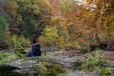 Autumn-2.jpg