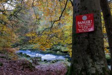 Autumn-3.jpg