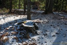 DSC_5654.jpg