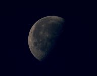Nov 24th 2013 027.jpg