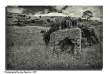DSC_2976-Edit.jpg