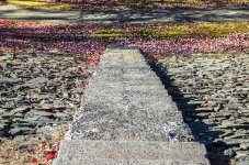 RiverPark_012a_1.jpg