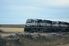 DSC_2516.jpg