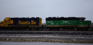 DSC_2385.jpg