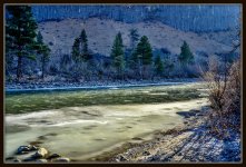 sunny day-4.jpg