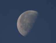 Nov 24th 2013 026.jpg