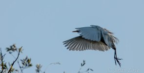 D7K_3013.jpg