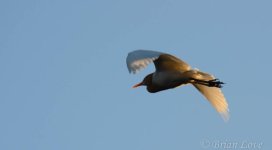 D7K_3019.jpg