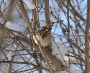 DSC_0645.jpg
