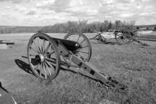 cannon b and w.jpg