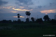 DSC_0006.jpg