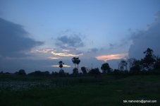 DSC_0007.jpg