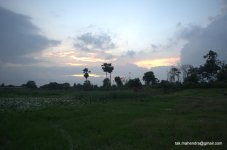 DSC_0010.jpg