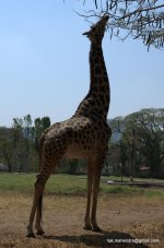 DSC_0017.jpg