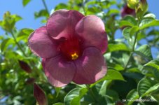 DSC_0058.jpg