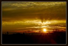 T DAY 068-001.jpg
