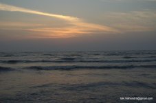 DSC_0115.jpg
