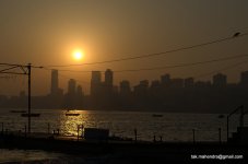 DSC_0239.jpg