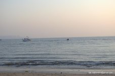 DSC_0240.jpg
