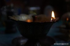 DSC_0308.jpg