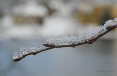 DSC_7653 flckr.jpg