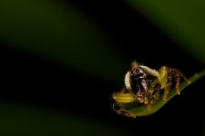 DSC_3692.jpg