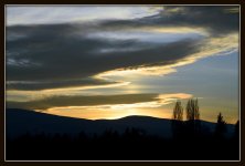 DSC_5528.jpg