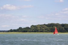 _DSC1524.jpg