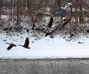 DSC_0743.jpg