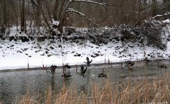 DSC_0737.jpg