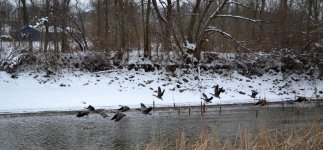 DSC_0739.jpg