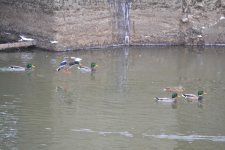 DSC_0703.jpg