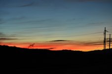 Nov 30th 2013 009.JPG