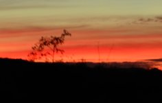 Nov 30th 2013 009_01.JPG