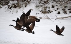 DSC_0746.jpg