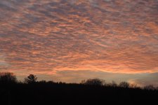 Nov Sunset.jpg