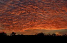 Nov%20Sunset.jpg