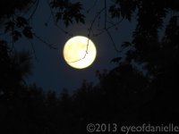 mooon.jpg