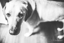 DSC_0178.jpg