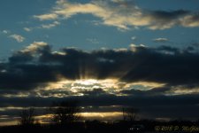 DSC_5697.jpg