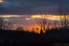 DSC_5701.jpg