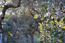 DSC_0168.jpg