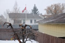 JT1_3406.jpg