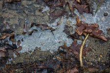 DSC_5839.jpg