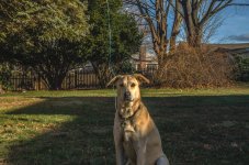 Ellens_49-50-51_HDR_EG.jpg