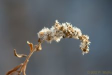 DSC_5861.jpg