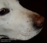335 Jenny-131203_01.jpg